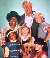 PUNKY BREWSTER